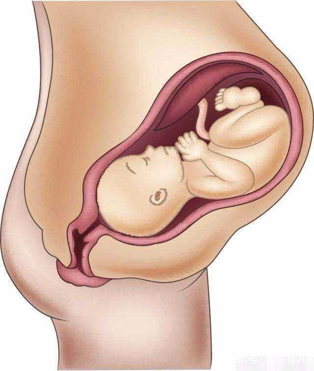 拉萨代怀孕介绍，拉萨三代试管性别准确率拉萨做试管成功率高吗